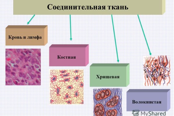 Kraken ссылка onion 2kmp