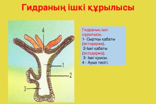 Ссылка на кракен через тор